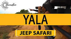 Travel to Yala on a Jeep Safari