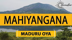 Travel to Maduru Oya National Park