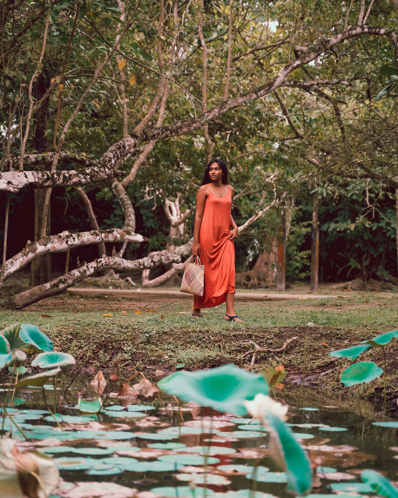 The price of being a (digital) nomad in Sri Lanka