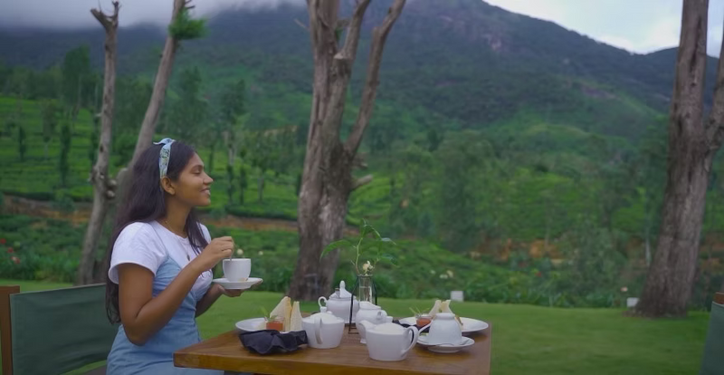 The World’s Best Tea, from leaf to cup