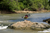 Kayaking the Mahaweli River with Ecogrip: Your Ultimate Guide to an Unforgettable Adventure