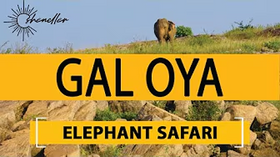 Travel to Gal Oya Elephant Safari by Boat