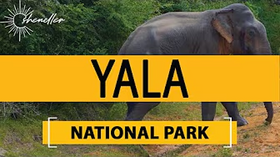 Travel to Yala National Park