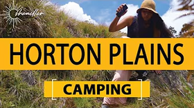 Travel to Horton Plains