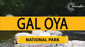 Travel to Gal Oya