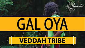 Travel with Veddah tribe in Gal Oya
