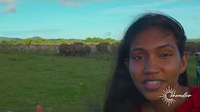 Travel to Minneriya National Park