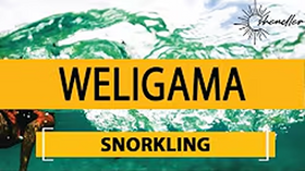 Travel to Polhena Beach