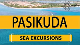 Travel to Pasikuda 