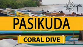 Travel to Kayernkery Pasikuda